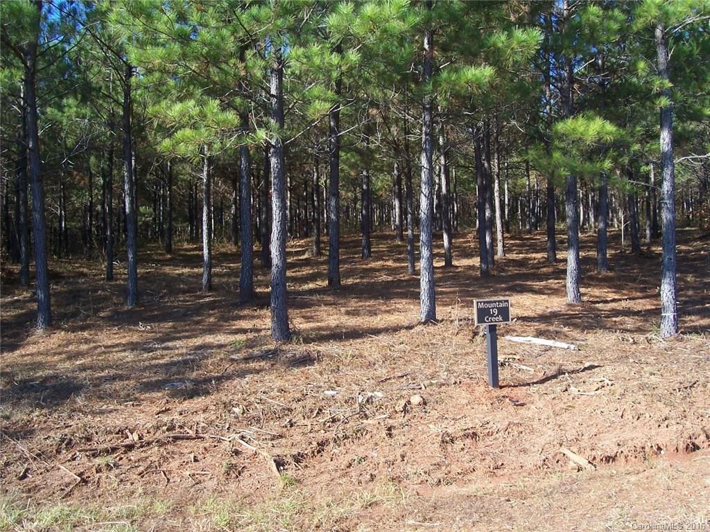0 Spur Alley, Unit 19 Rutherfordton, NC 28139 - Photo 7 of 10