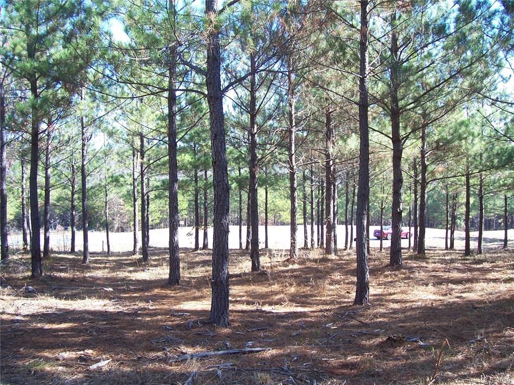0 Spur Alley, Unit 19 Rutherfordton, NC 28139 - Photo 8 of 10