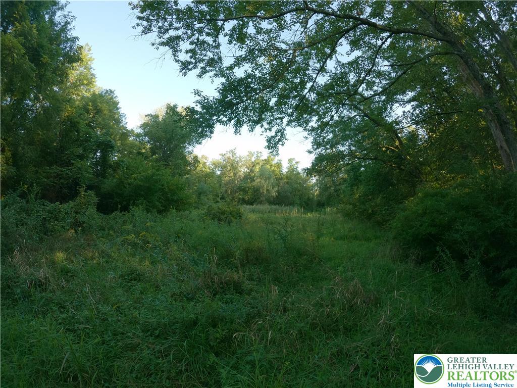 Weaver Lane Hellertown, PA 18055 - Photo 5 of 12