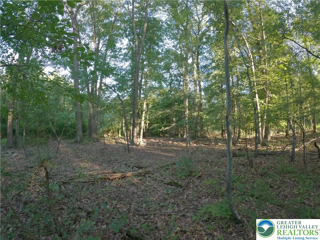Weaver Lane Hellertown, PA 18055 - Photo 6 of 12