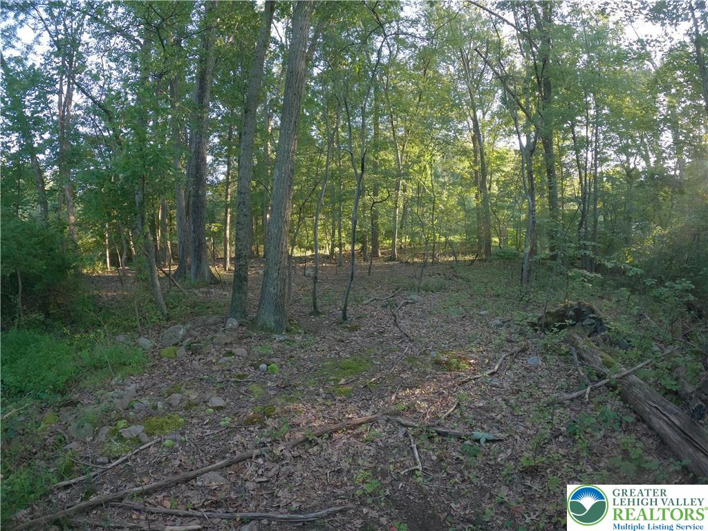 Weaver Lane Hellertown, PA 18055 - Photo 7 of 12