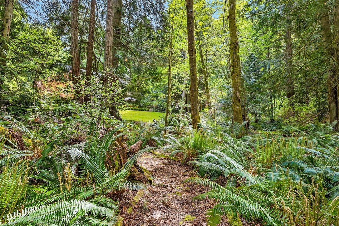8175 Springridge Road Northeast Bainbridge Island, WA 98110 - Photo 37 of 38 Gallery Image 37