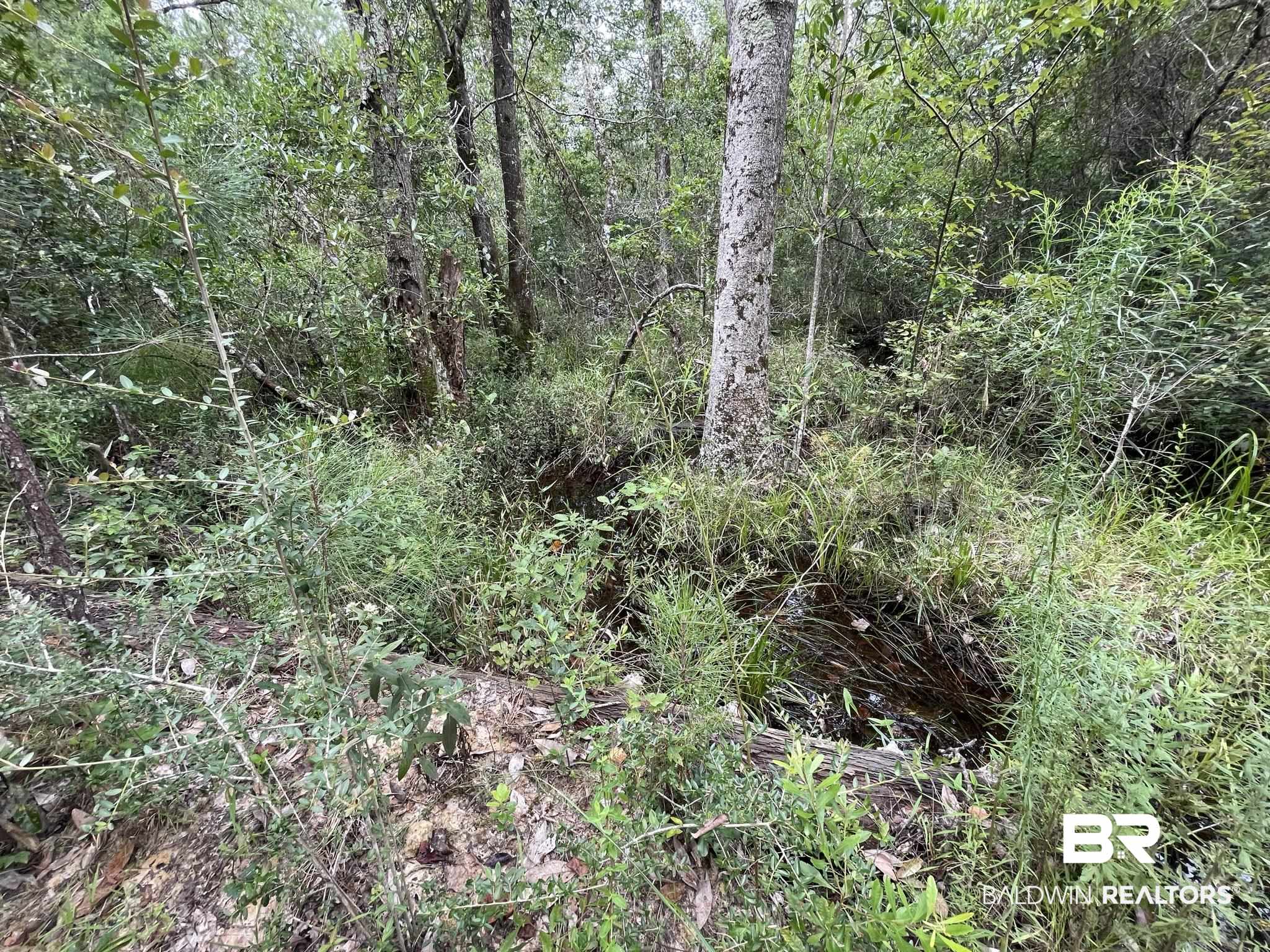 0 County Road 11 Wing, AL 36483 - Photo 13 of 37