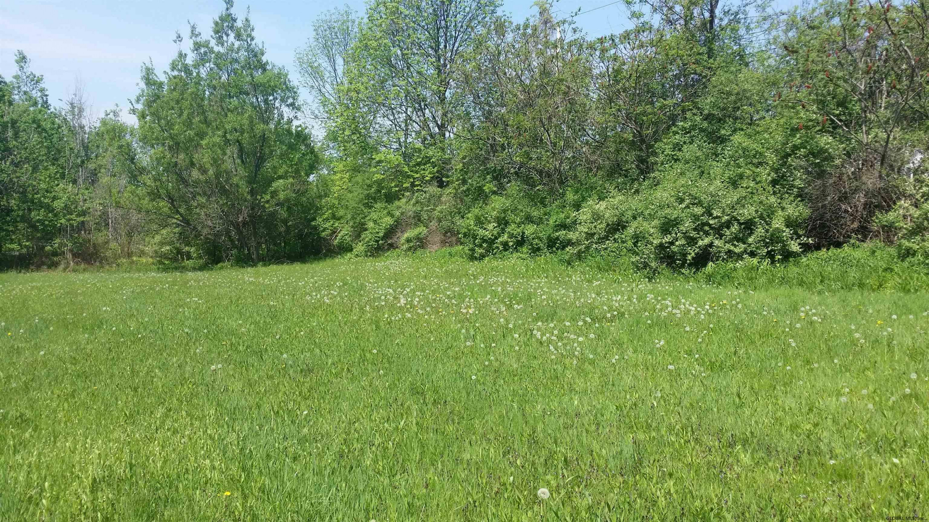 0 Salsburg Road Delanson, NY 12053 - Photo 8 of 11 Photo 8