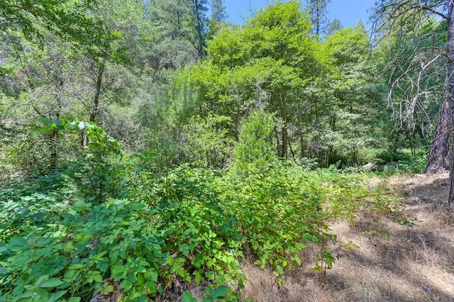 $199,000 | 4594 Ingot Lane, Garden Valley, CA 95633