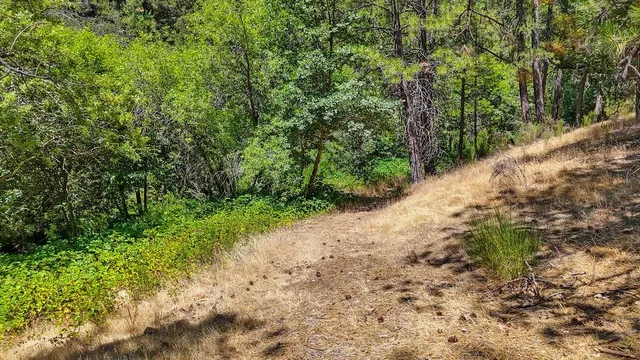 $199,000 | 4594 Ingot Lane, Garden Valley, CA 95633