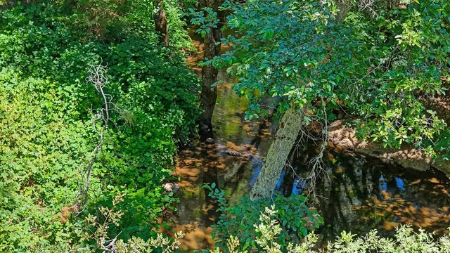 $199,000 | 4594 Ingot Lane, Garden Valley, CA 95633