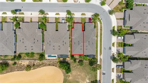 a view of a swimming pool with a lawn chairs under palm trees