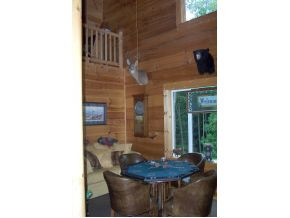 741 Lower Stone Mountain Road Unicoi, TN 37692 - Photo 7 of 12 Game area