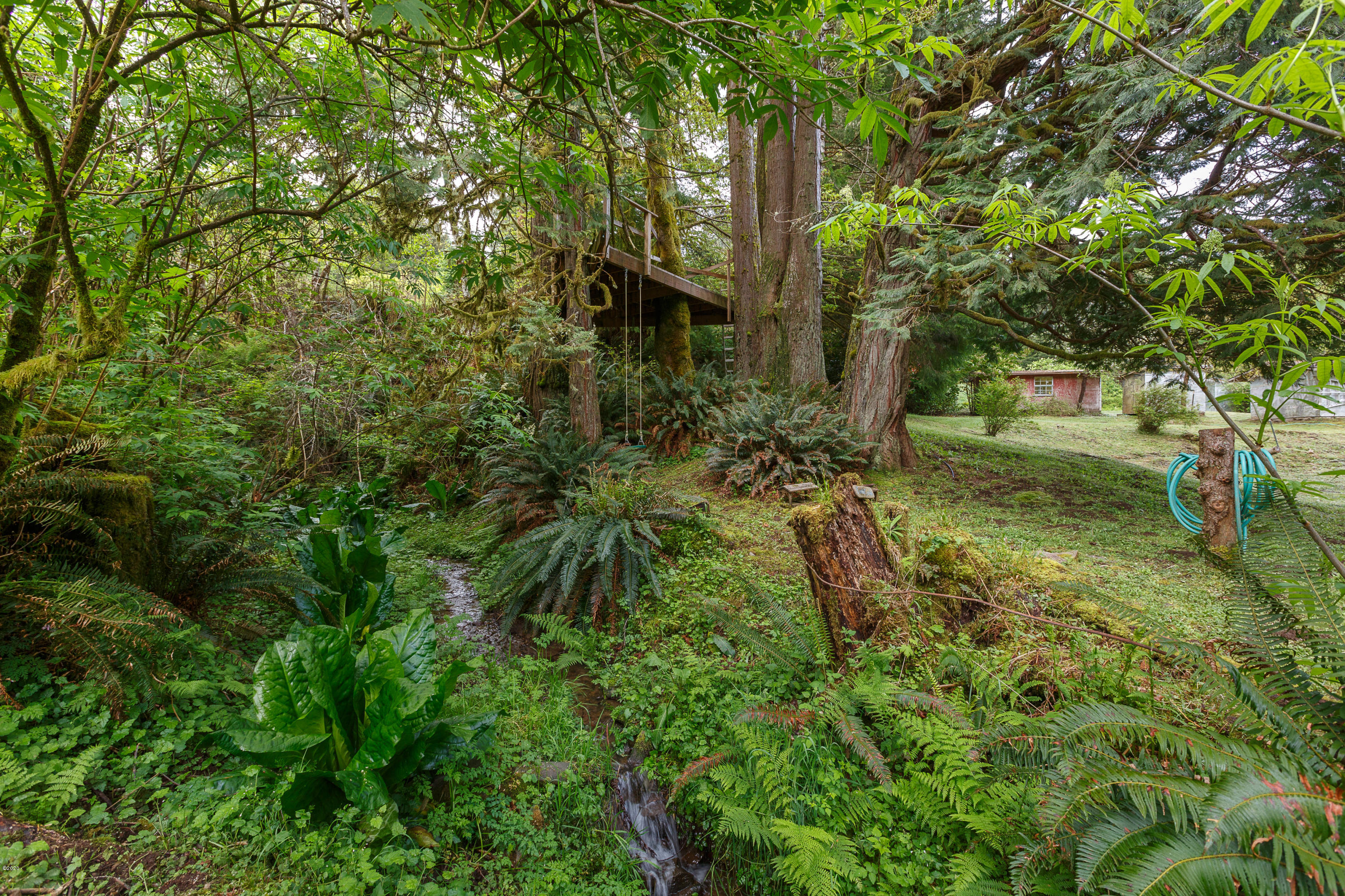 1266 North Yachats River Road Yachats, OR 97498 - Photo 71 of 79 Treehouse