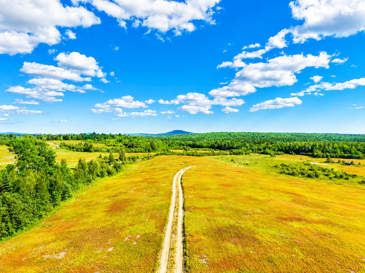 Map19-lot28 Leach Road Penobscot, ME 04476 - Photo 1 of 16 MAP19LOT28 Leach Road