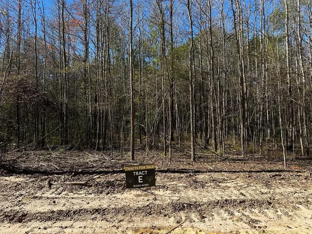 $250,000 | 437 Private Road 8507, Van, TX 75790