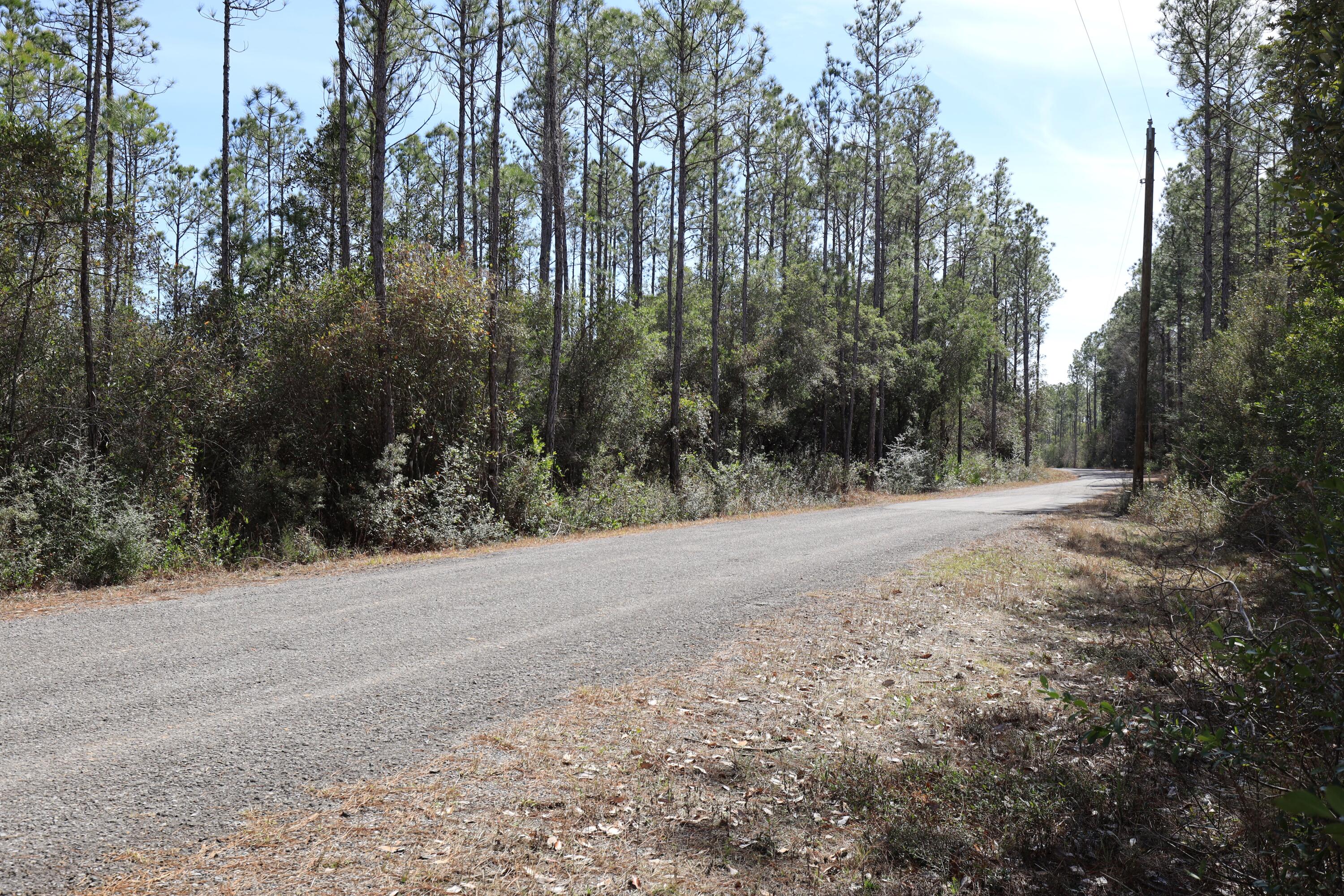 3-acres Antioch Cemetery Road Ponce de Leon, FL 32455 - Photo 11 of 18 a view of outdoor space with trees