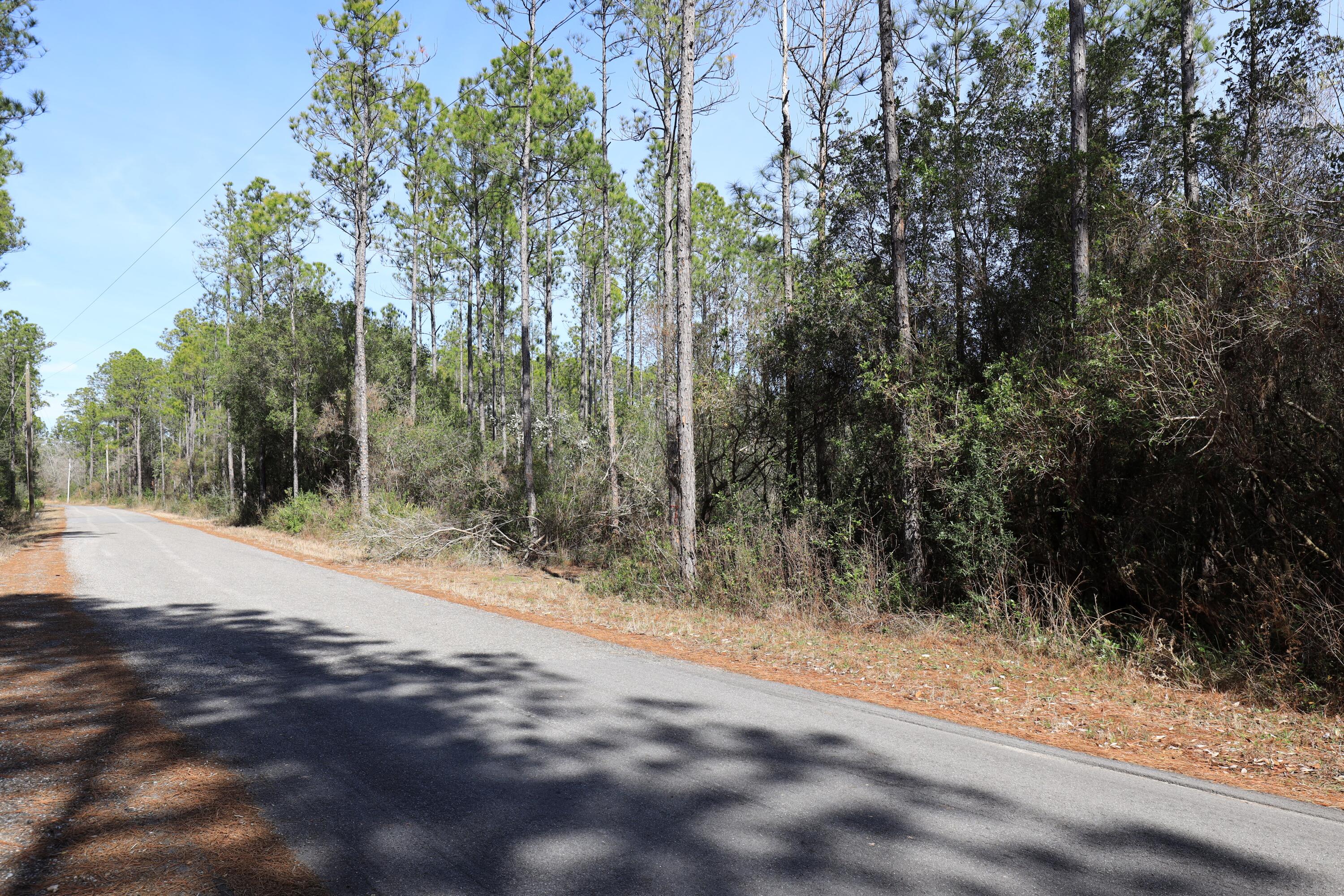 3-acres Antioch Cemetery Road Ponce de Leon, FL 32455 - Photo 4 of 18 a view of a forest filled with trees
