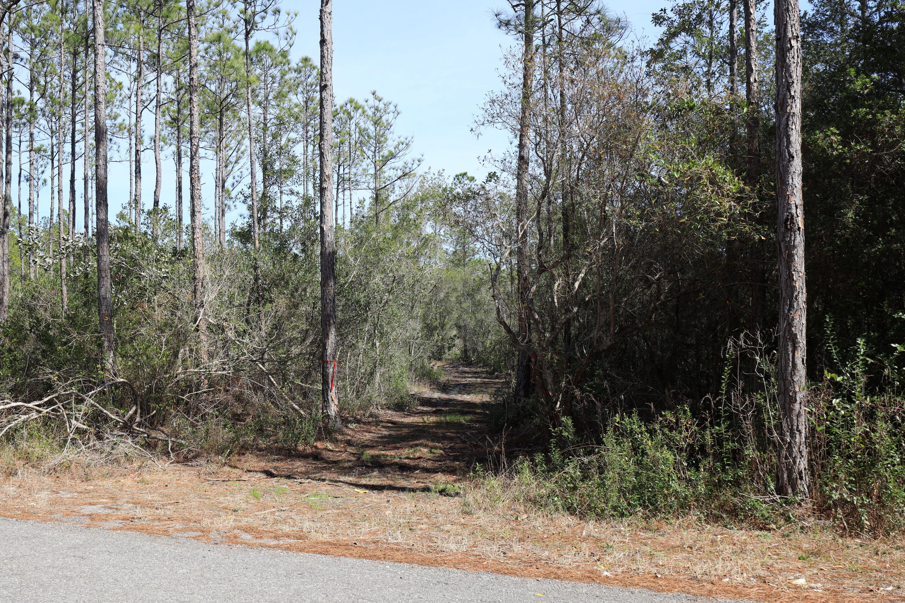 3-acres Antioch Cemetery Road Ponce de Leon, FL 32455 - Photo 6 of 18 a view of outdoor space and yard
