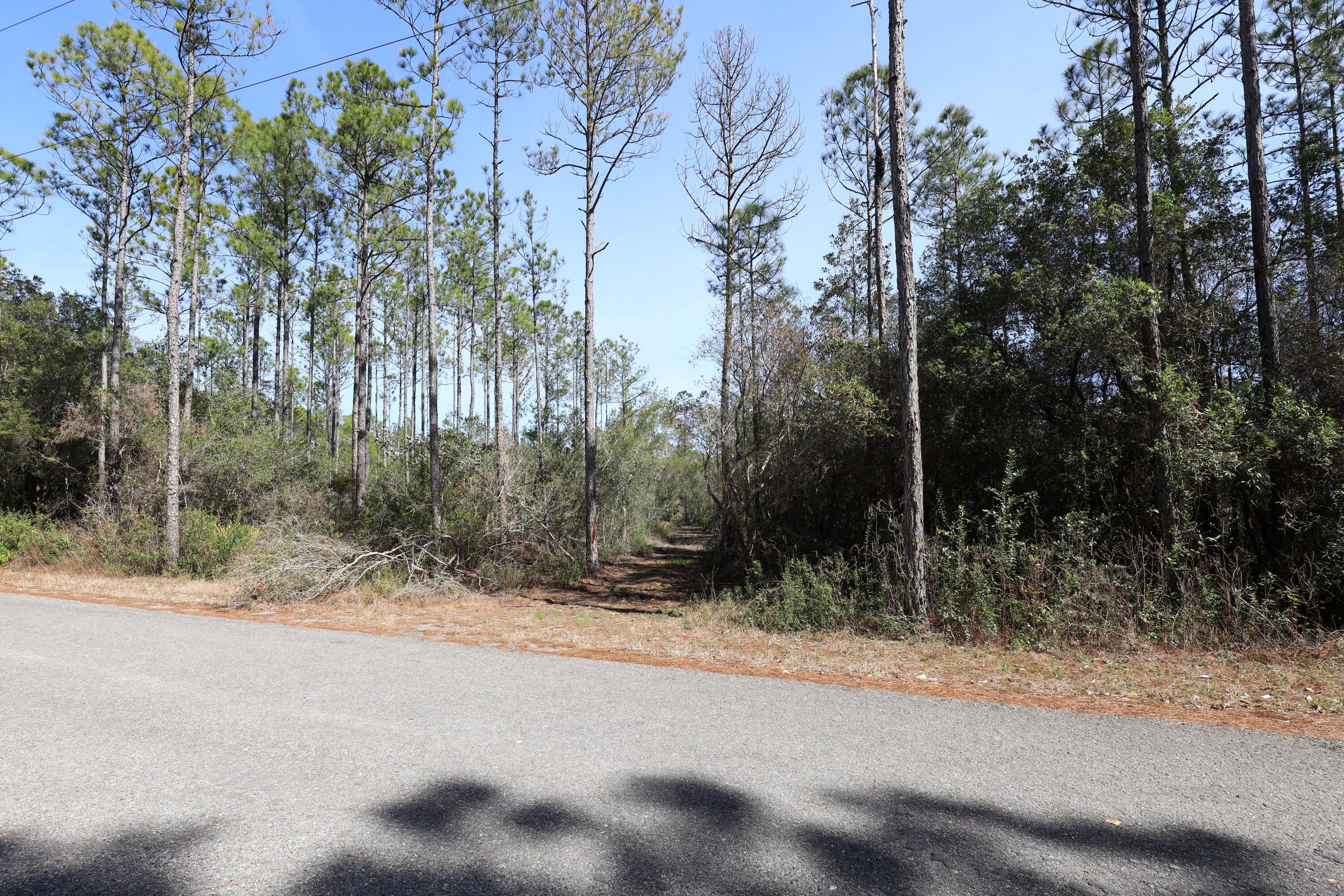 3-acres Antioch Cemetery Road Ponce de Leon, FL 32455 - Photo 8 of 18 a view of a yard covered with trees
