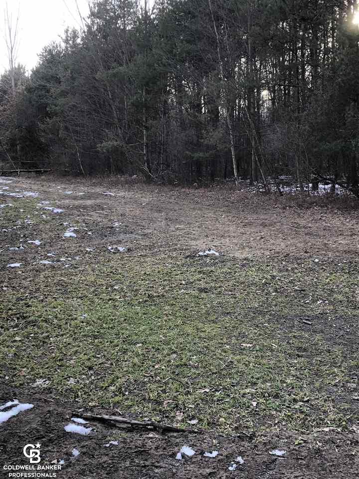 0 Puttygut Road Casco, MI 48064 - Photo 7 of 9