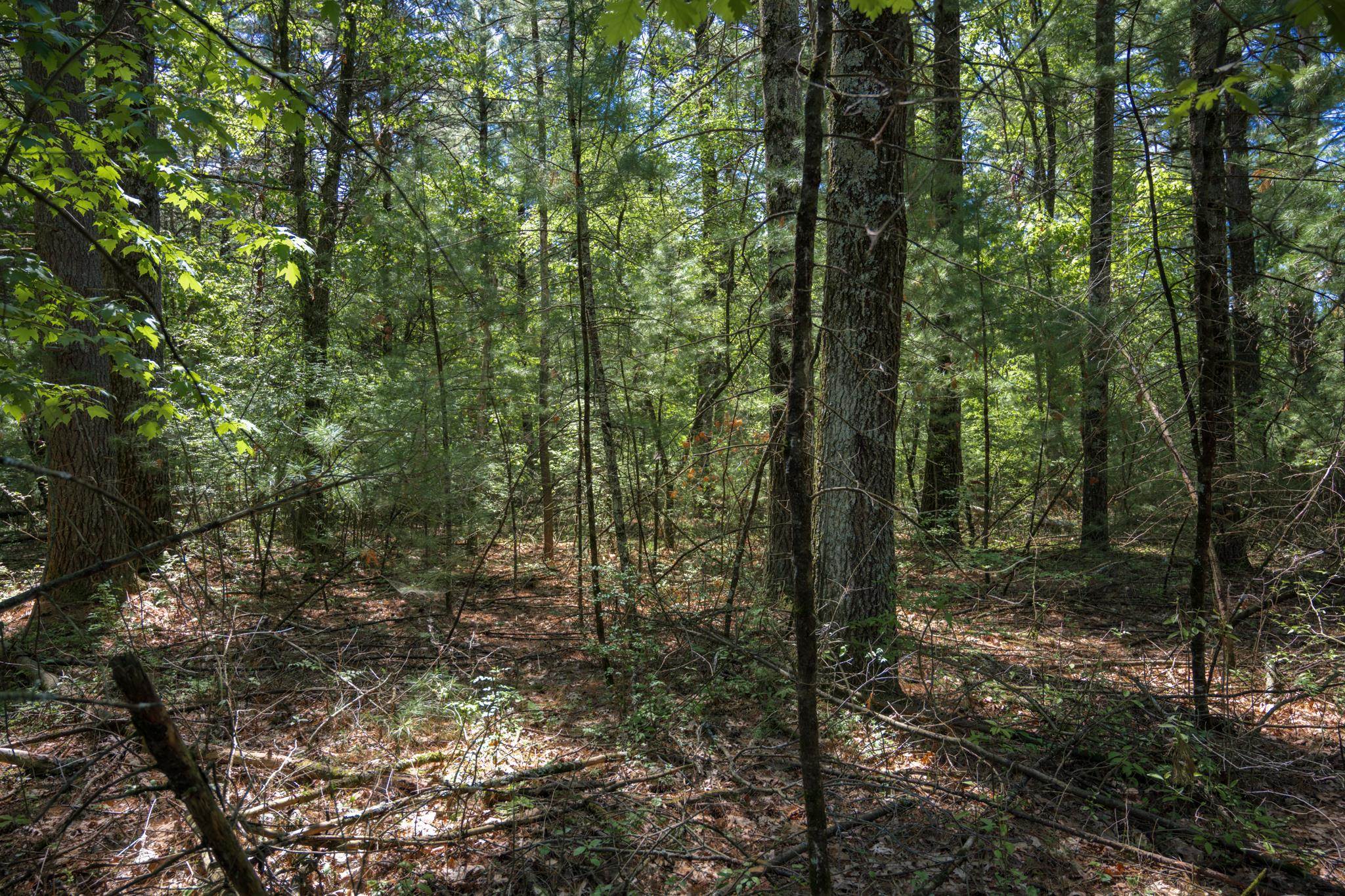 Lot 132 19th Arkdale, WI 54613 - Photo 9 of 27
