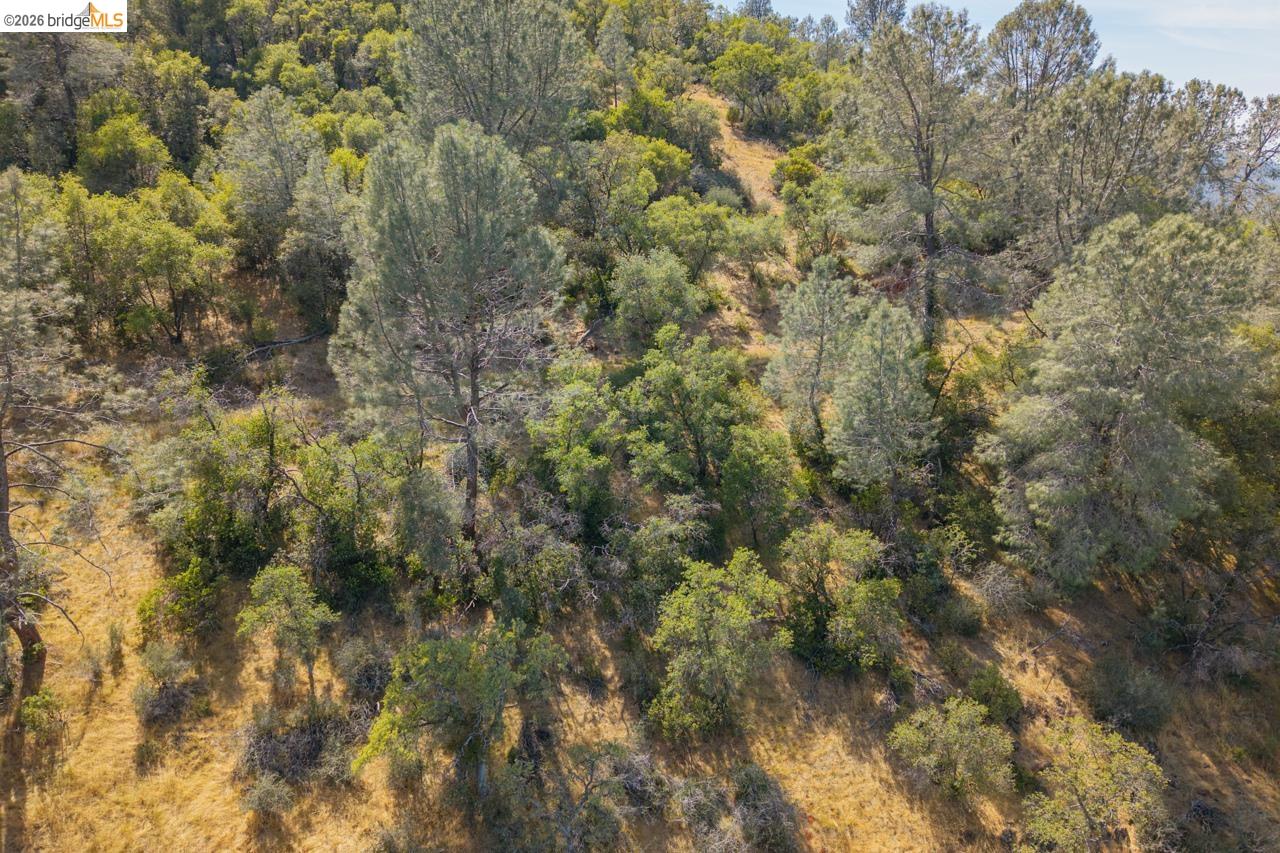 0 Pool Station Road Angels Camp, CA 95222 - Photo 24 of 28