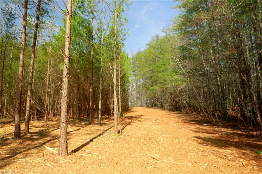 1089 Smith Road South Westfield, NC 27053 - Photo 12 of 28