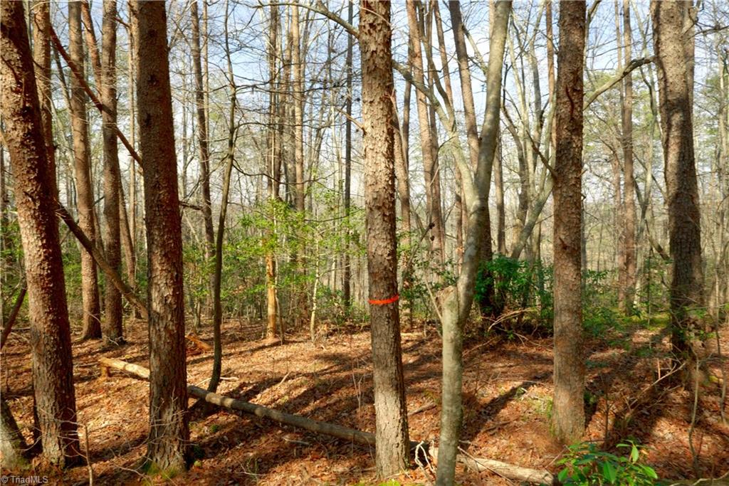 1089 Smith Road South Westfield, NC 27053 - Photo 13 of 28