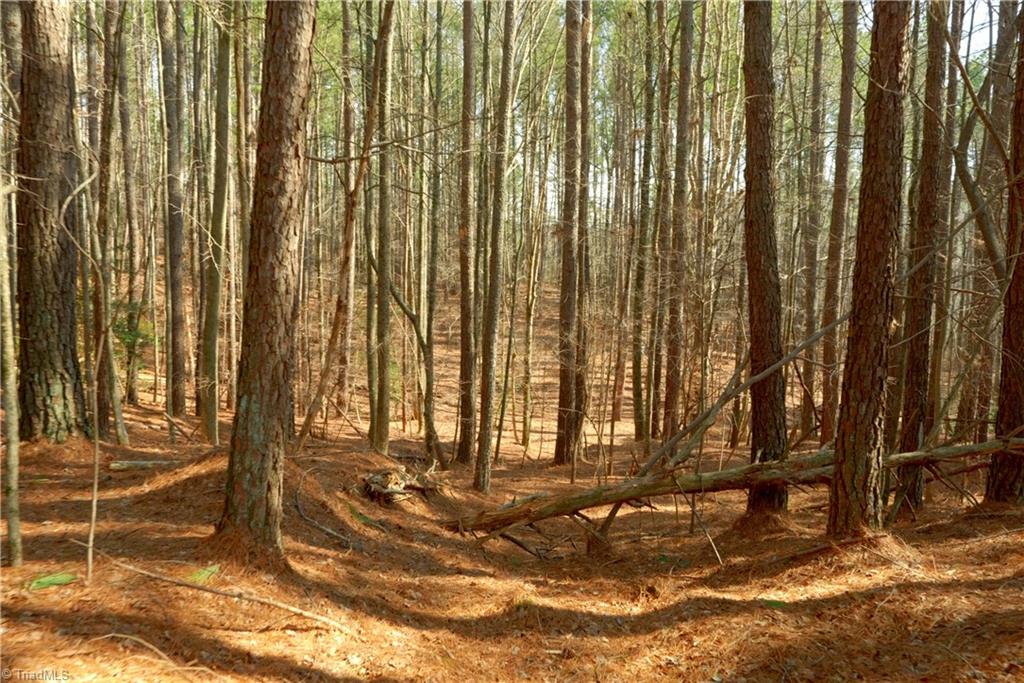 1089 Smith Road South Westfield, NC 27053 - Photo 14 of 28