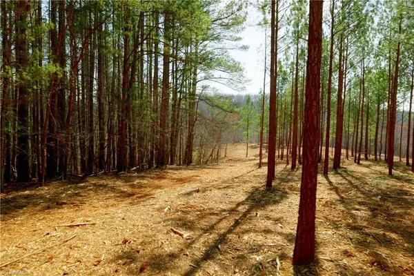 $154,900 | 1089 Smith Road South, Westfield, NC 27053