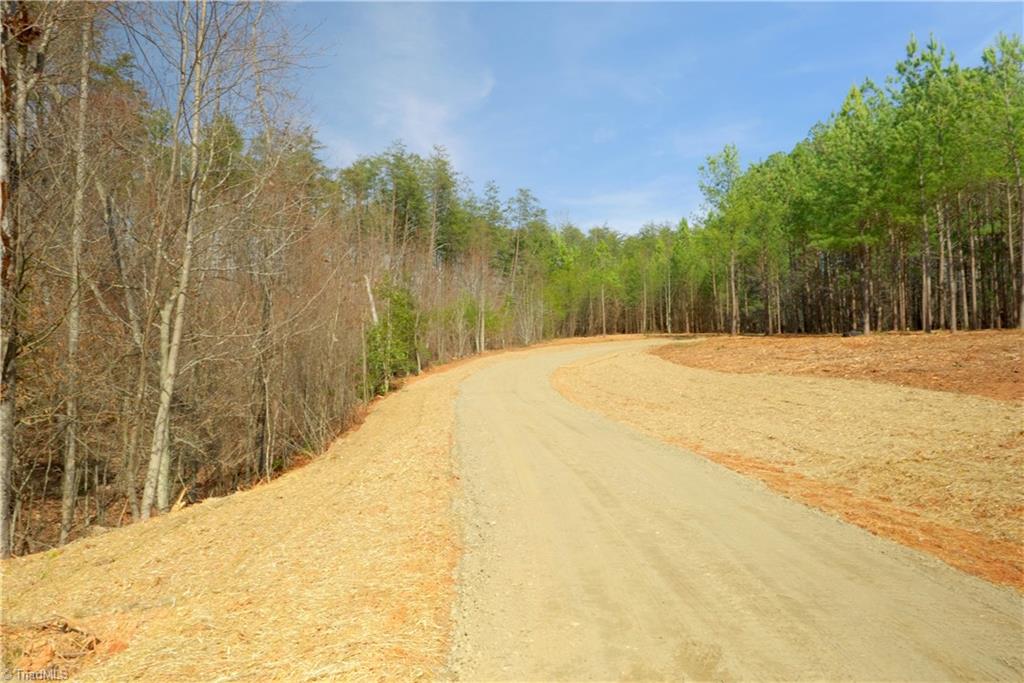 1089 Smith Road South Westfield, NC 27053 - Photo 9 of 28