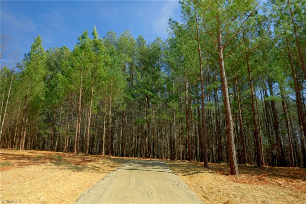 1089 Smith Road South Westfield, NC 27053 - Photo 10 of 28