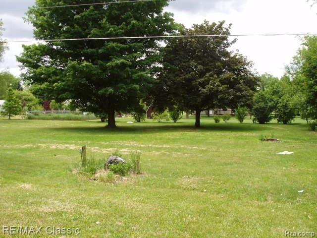 150 South Burkhart Road Howell, MI 48843 - Photo 3 of 4 burkhart back yard.JPG