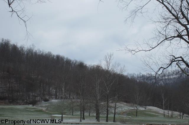 886 Jackson Mill Road Jane Lew, WV 26378 - Photo 13 of 20 Gallery Image 13