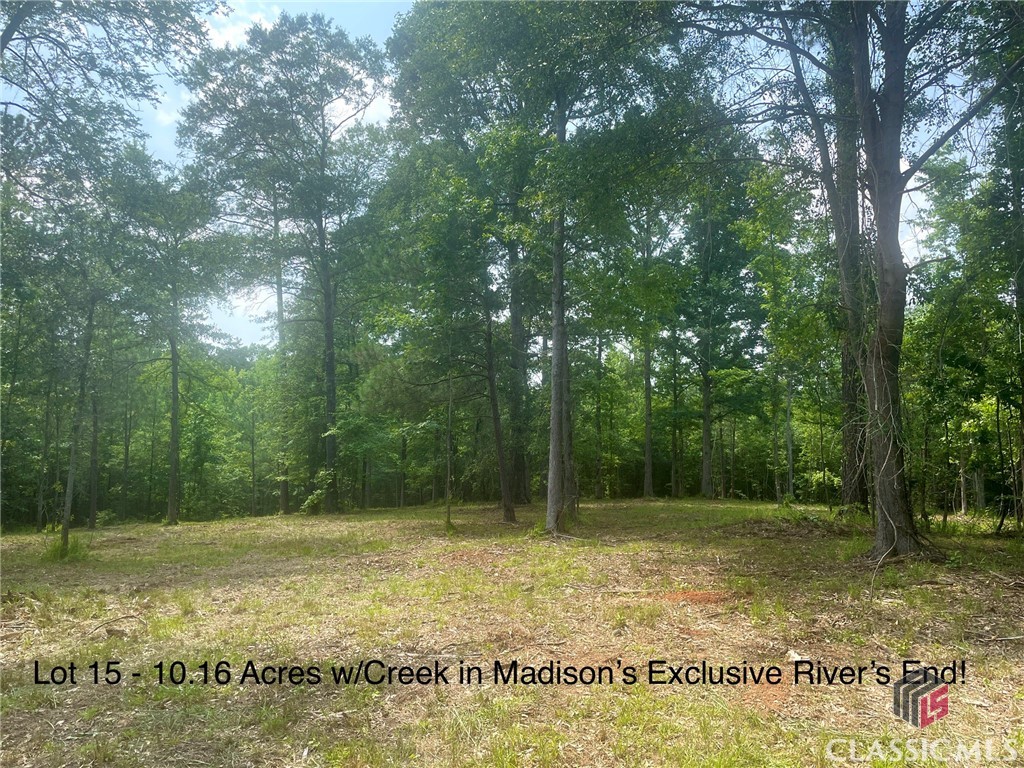 1080 Apalachee Ridge, Unit 15 Madison, GA 30650 - Photo 22 of 27