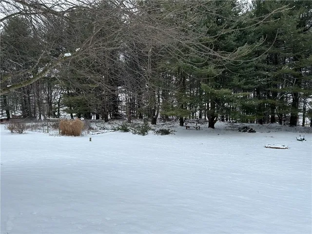 a view of outdoor space with trees