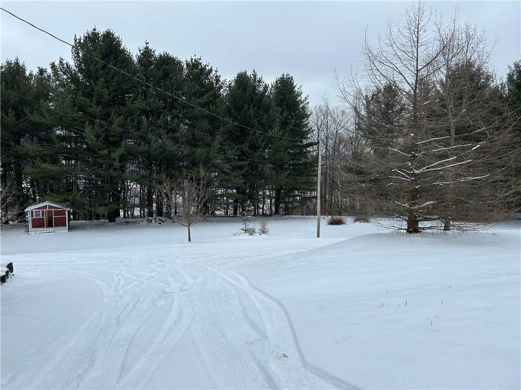 1675 Raspberry Road Clymer, PA 15728 - Photo 43 of 43 a view of outdoor space with trees