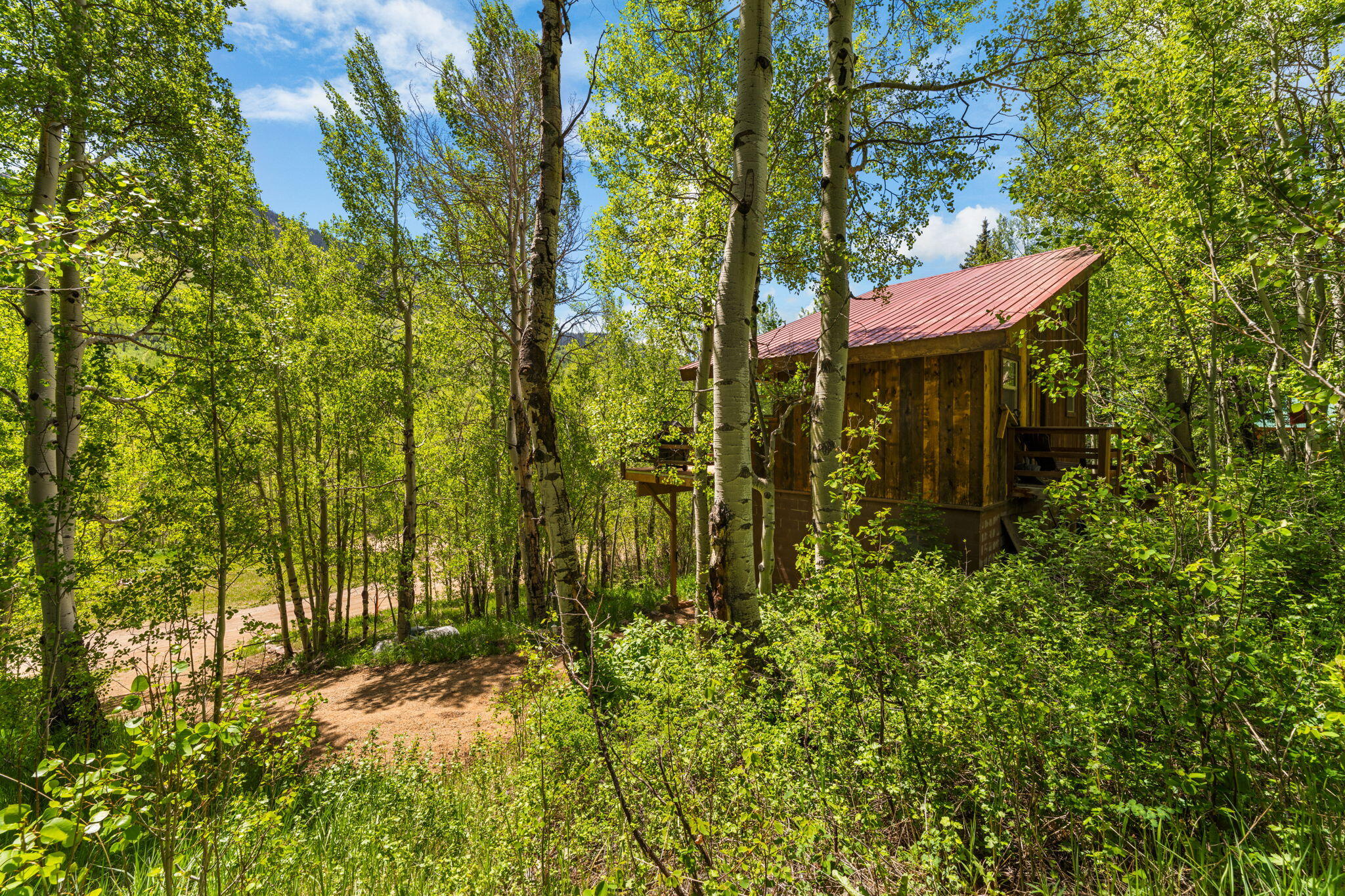 313 North Piedmont Street Rico, CO 81332 - Photo 12 of 43 a view of outdoor space and garden