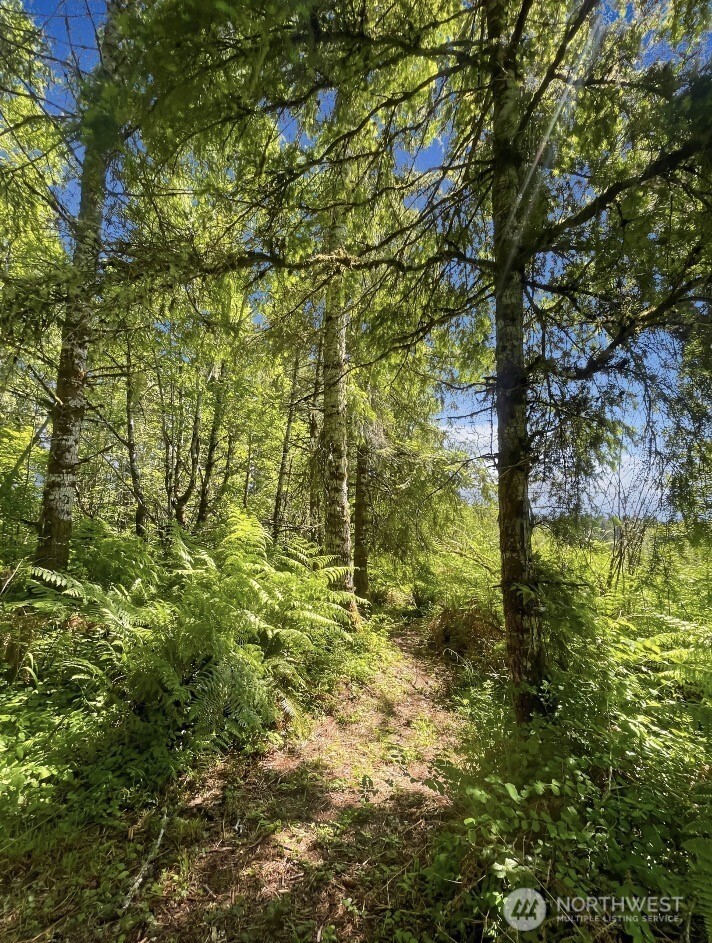 570 Elk Prairie Road Raymond, WA 98577 - Photo 23 of 39