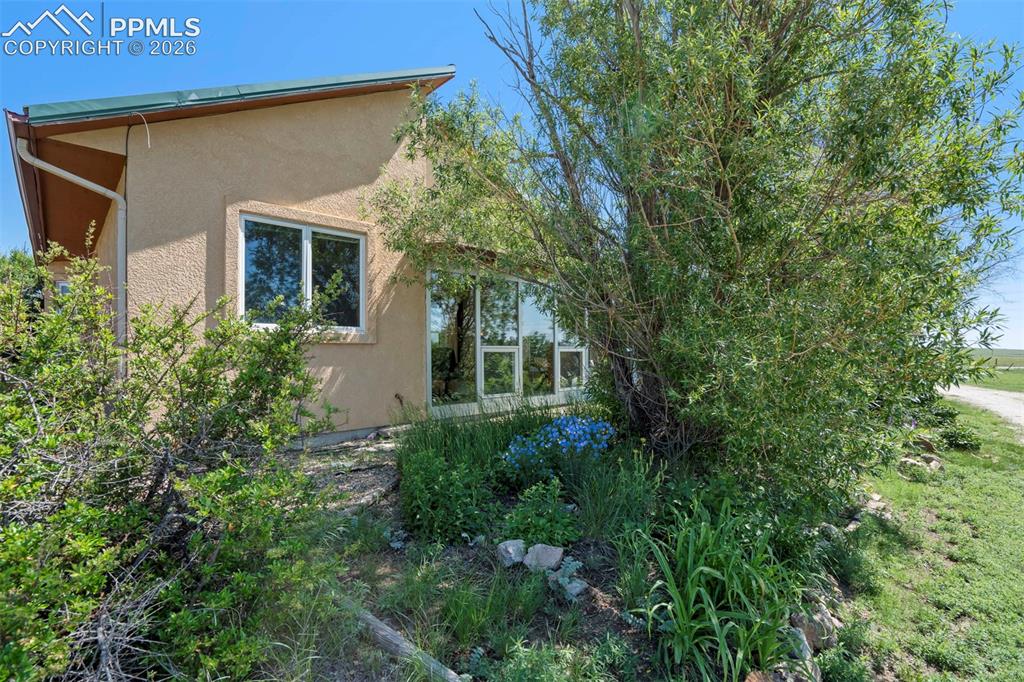 2550 Slocum Road Peyton, CO 80831 - Photo 48 of 50 front view of a house with a tree