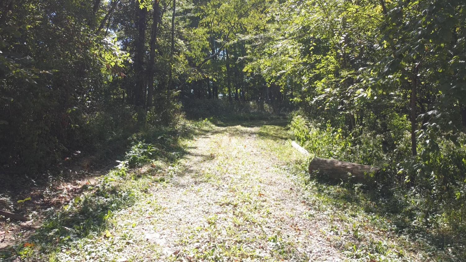 1 Five Points Road Sunman, IN 47041 - Photo 6 of 13