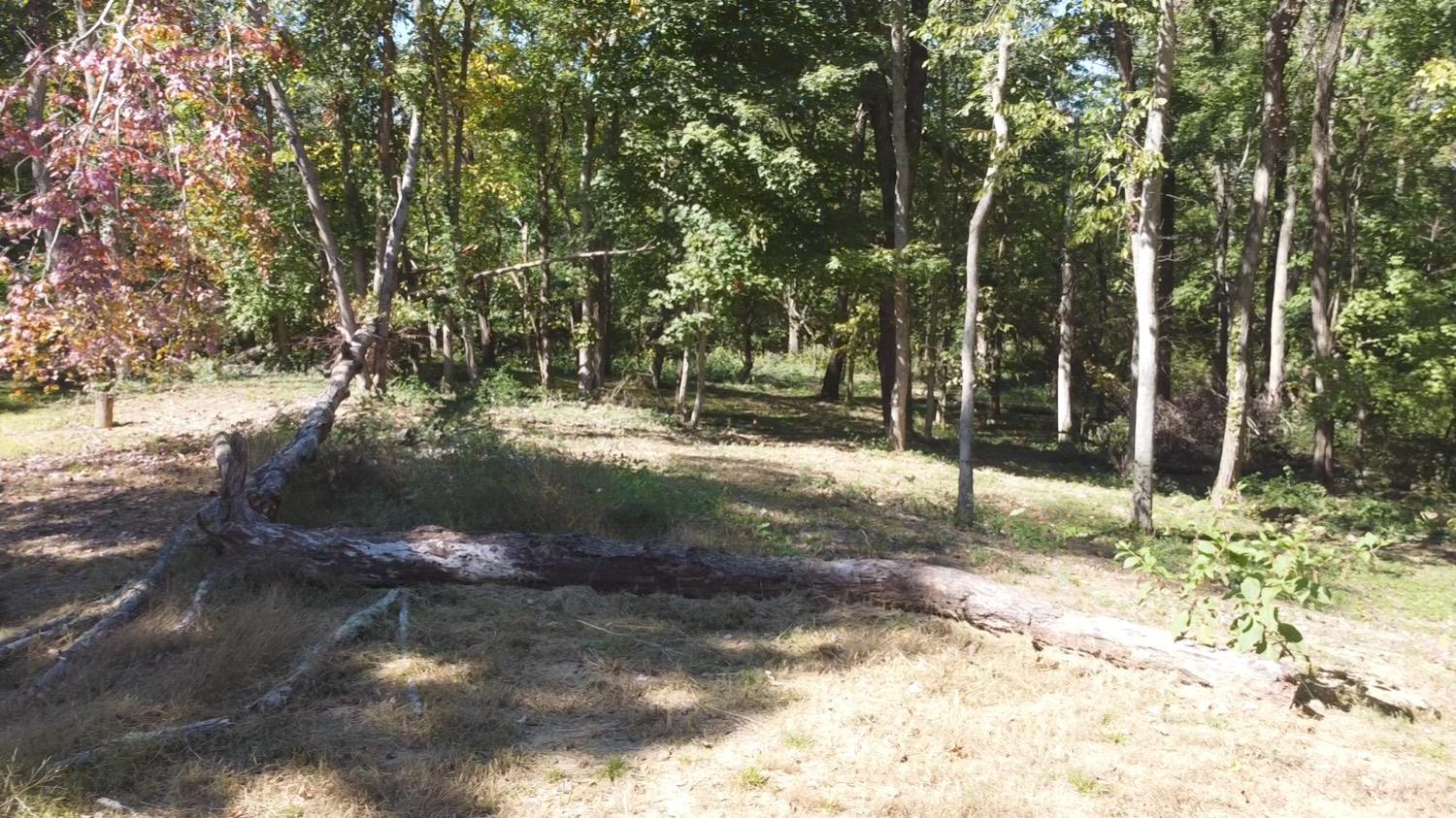 1 Five Points Road Sunman, IN 47041 - Photo 8 of 13