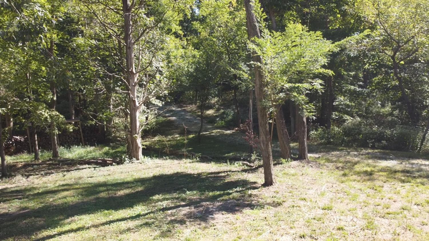 1 Five Points Road Sunman, IN 47041 - Photo 9 of 13