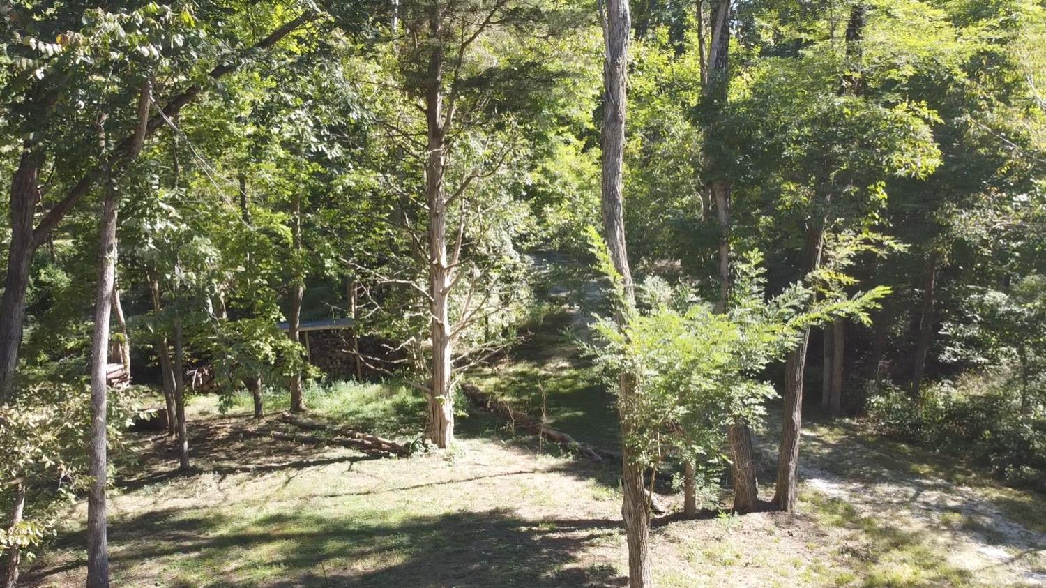 1 Five Points Road Sunman, IN 47041 - Photo 10 of 13