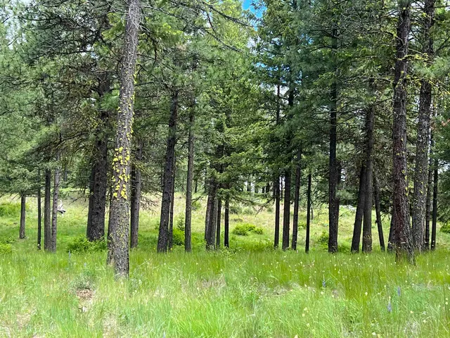 $125,000 | Lot 7 Bella Coola Drive, Inchelium, WA 99138