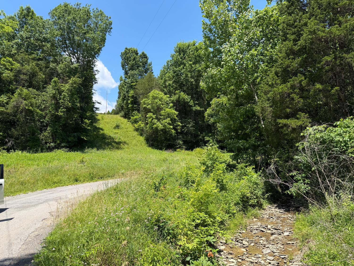 9626 Werner Road Cross Plains, IN 47017 - Photo 54 of 55