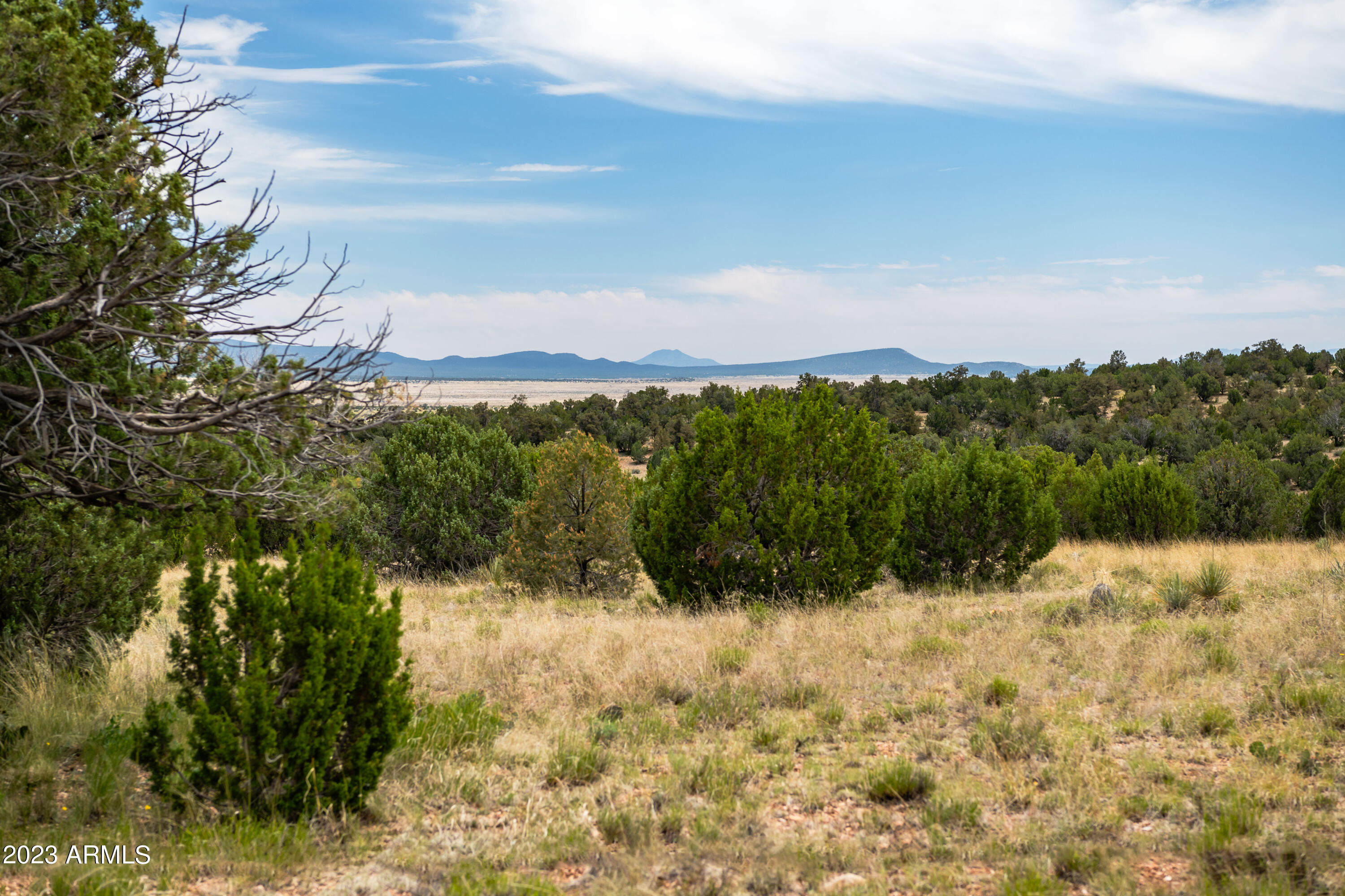 A Pine Ridge Trail, Unit 50 Seligman, AZ 86337 - Photo 2 of 20