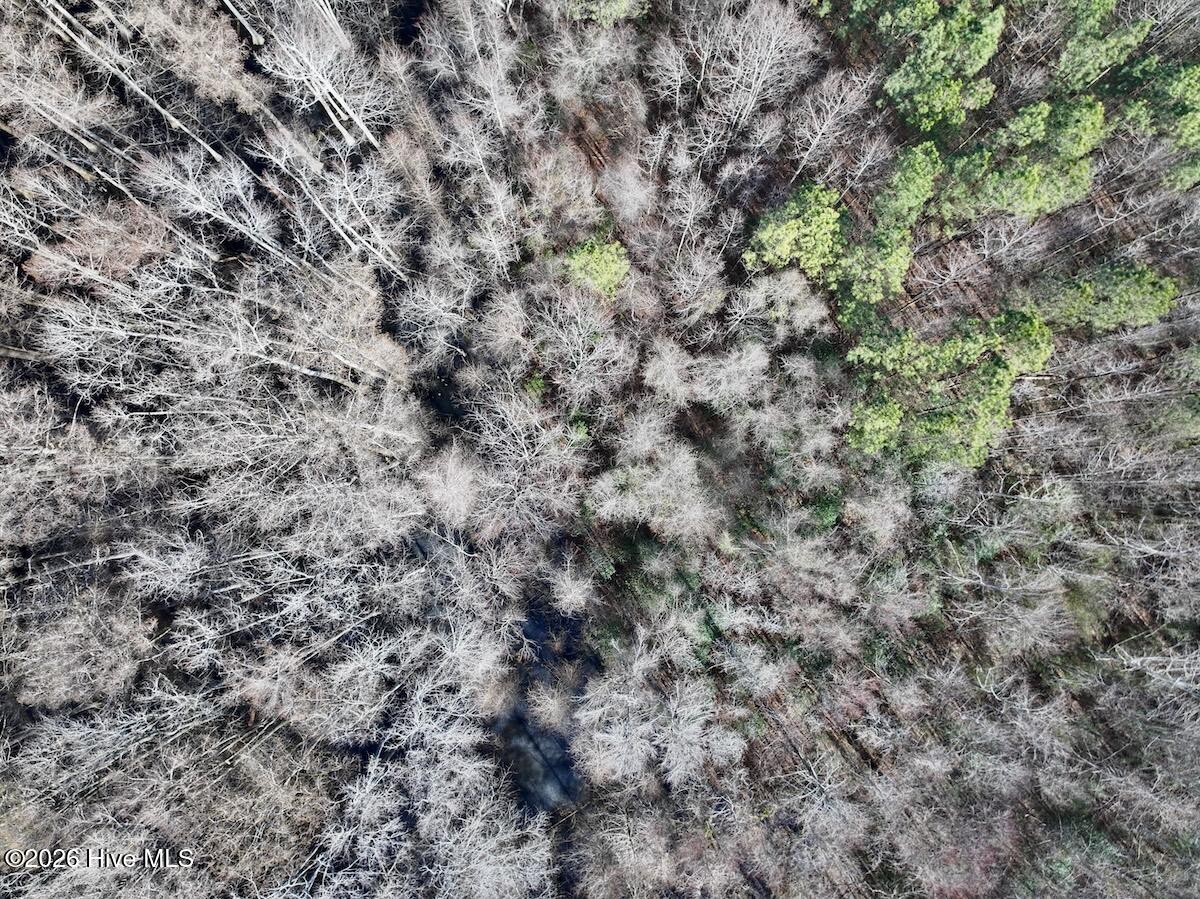 431 Icaria Road Tyner, NC 27980 - Photo 13 of 56 13