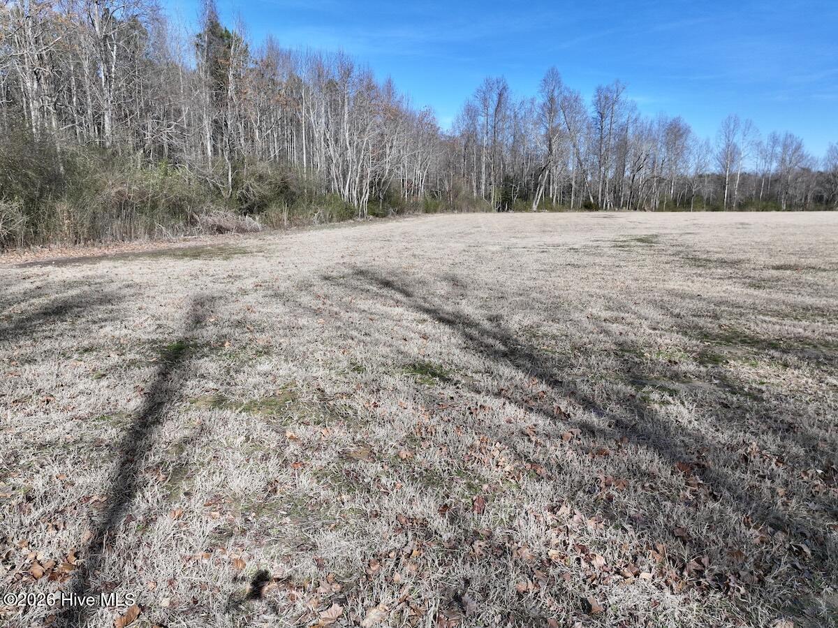 431 Icaria Road Tyner, NC 27980 - Photo 15 of 56 15