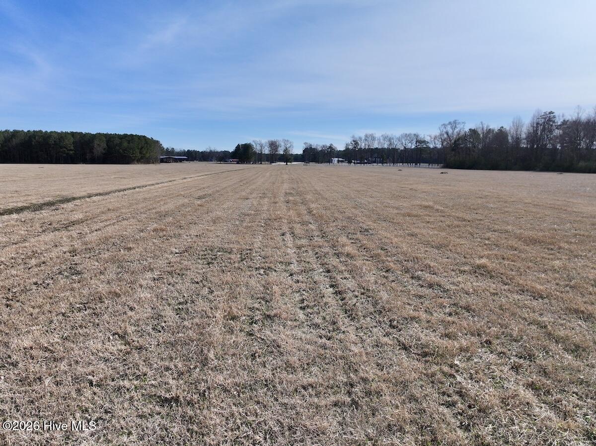 431 Icaria Road Tyner, NC 27980 - Photo 17 of 56 17
