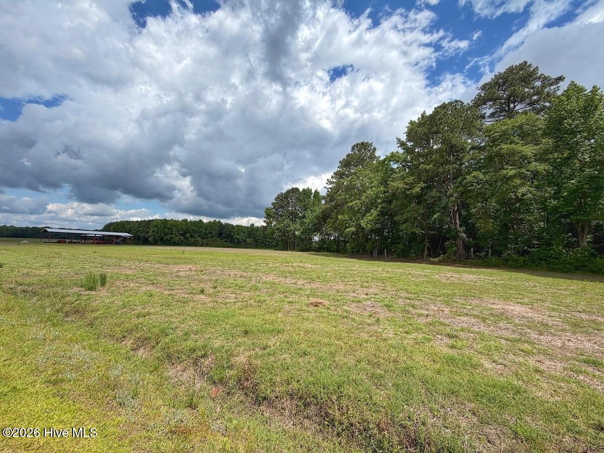 431 Icaria Road Tyner, NC 27980 - Photo 33 of 55 34