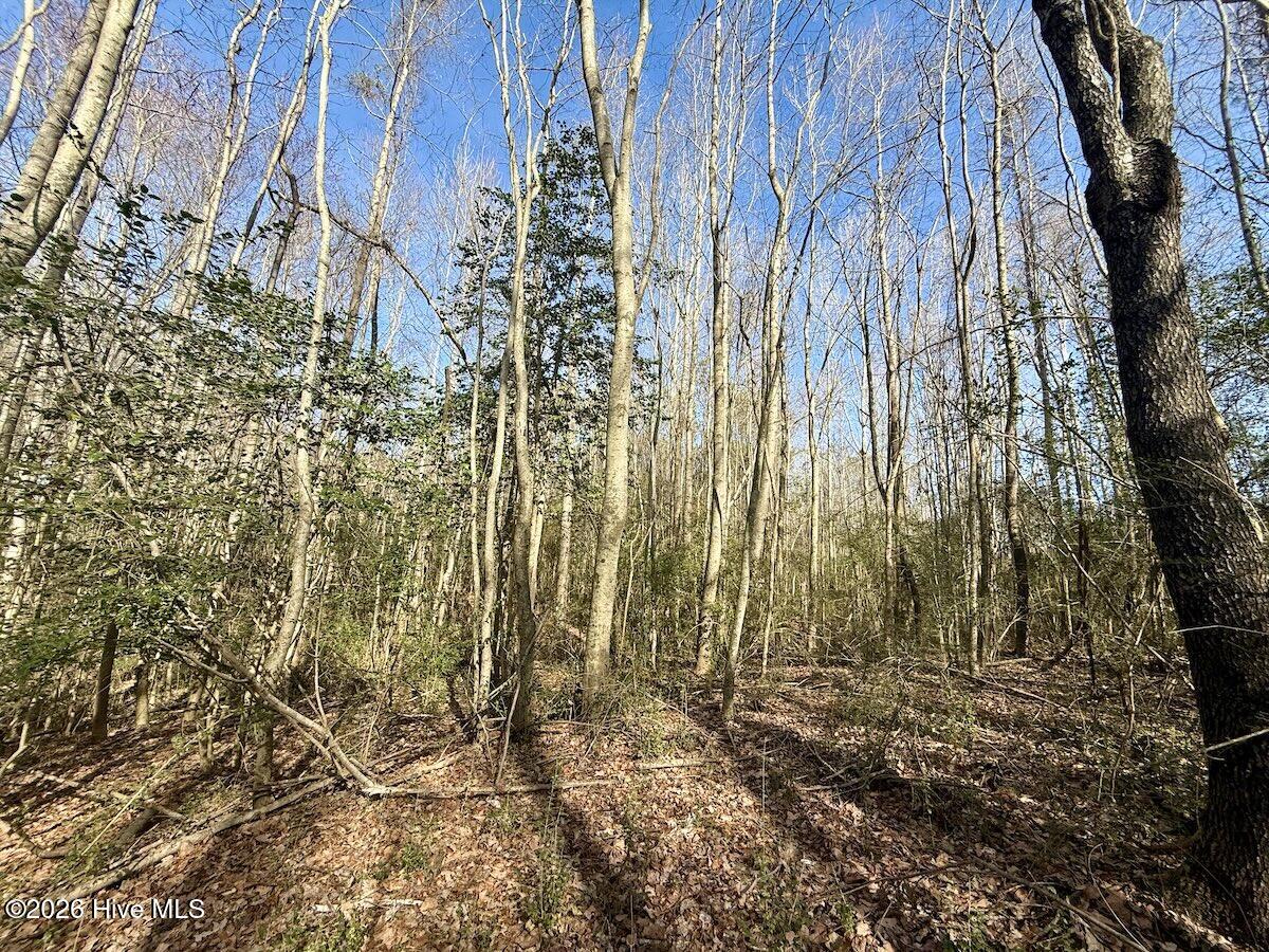 431 Icaria Road Tyner, NC 27980 - Photo 39 of 56 39