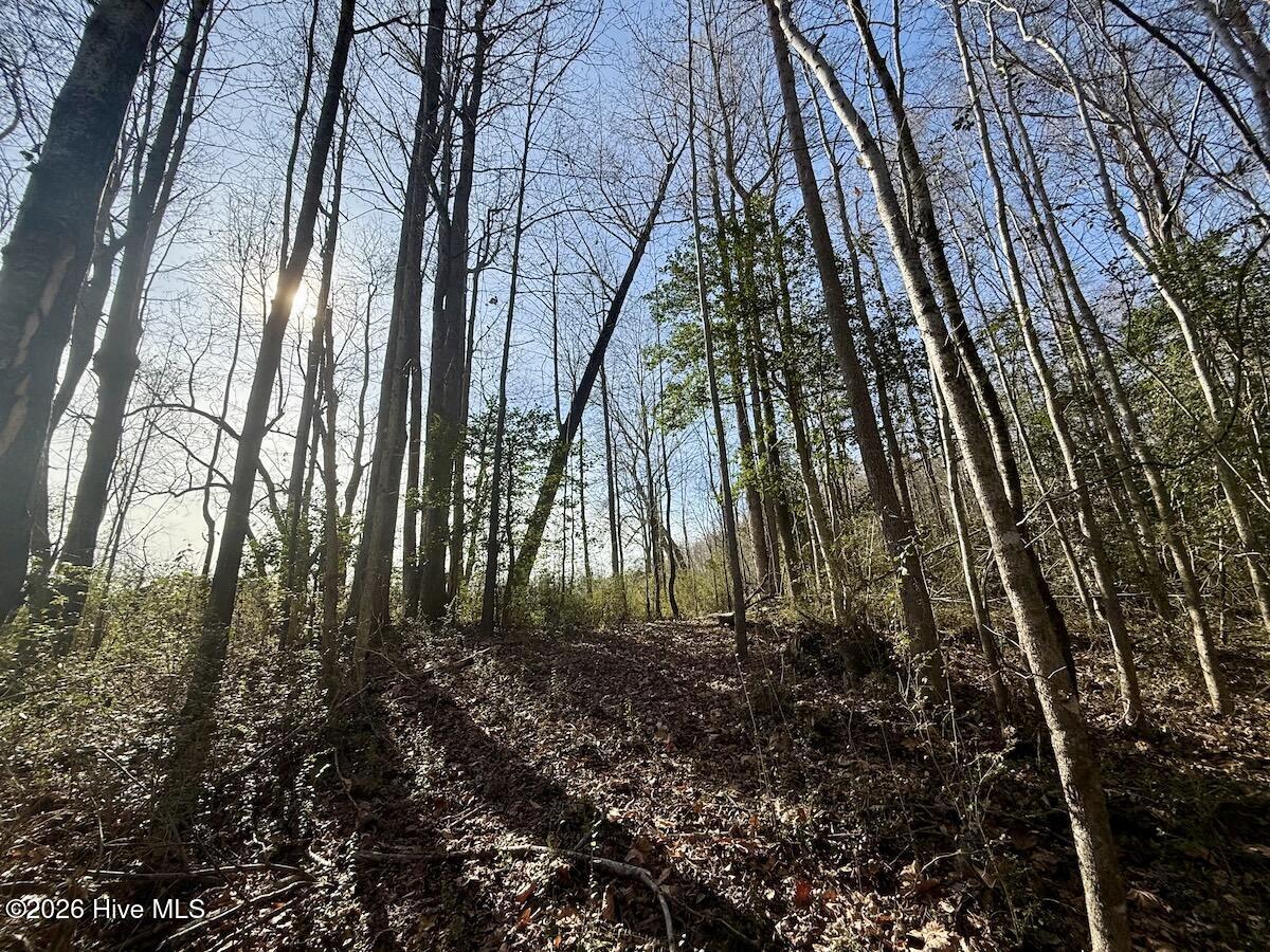 431 Icaria Road Tyner, NC 27980 - Photo 41 of 56 41